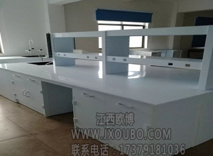 上海湖南實(shí)驗(yàn)臺
